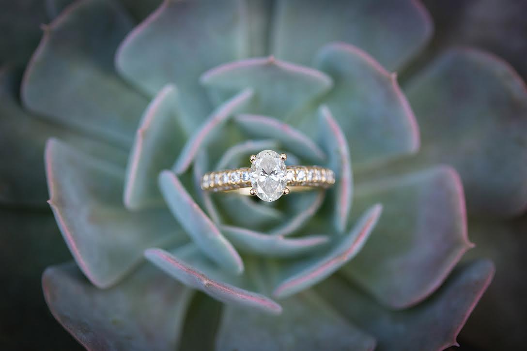 Engagement Ring in Succulent | So This Is Love Wedding Blog