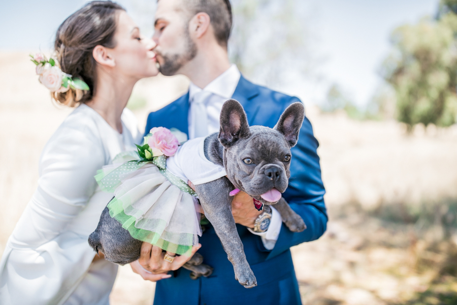Engagement Photo Shoot with Flower Girl Dog