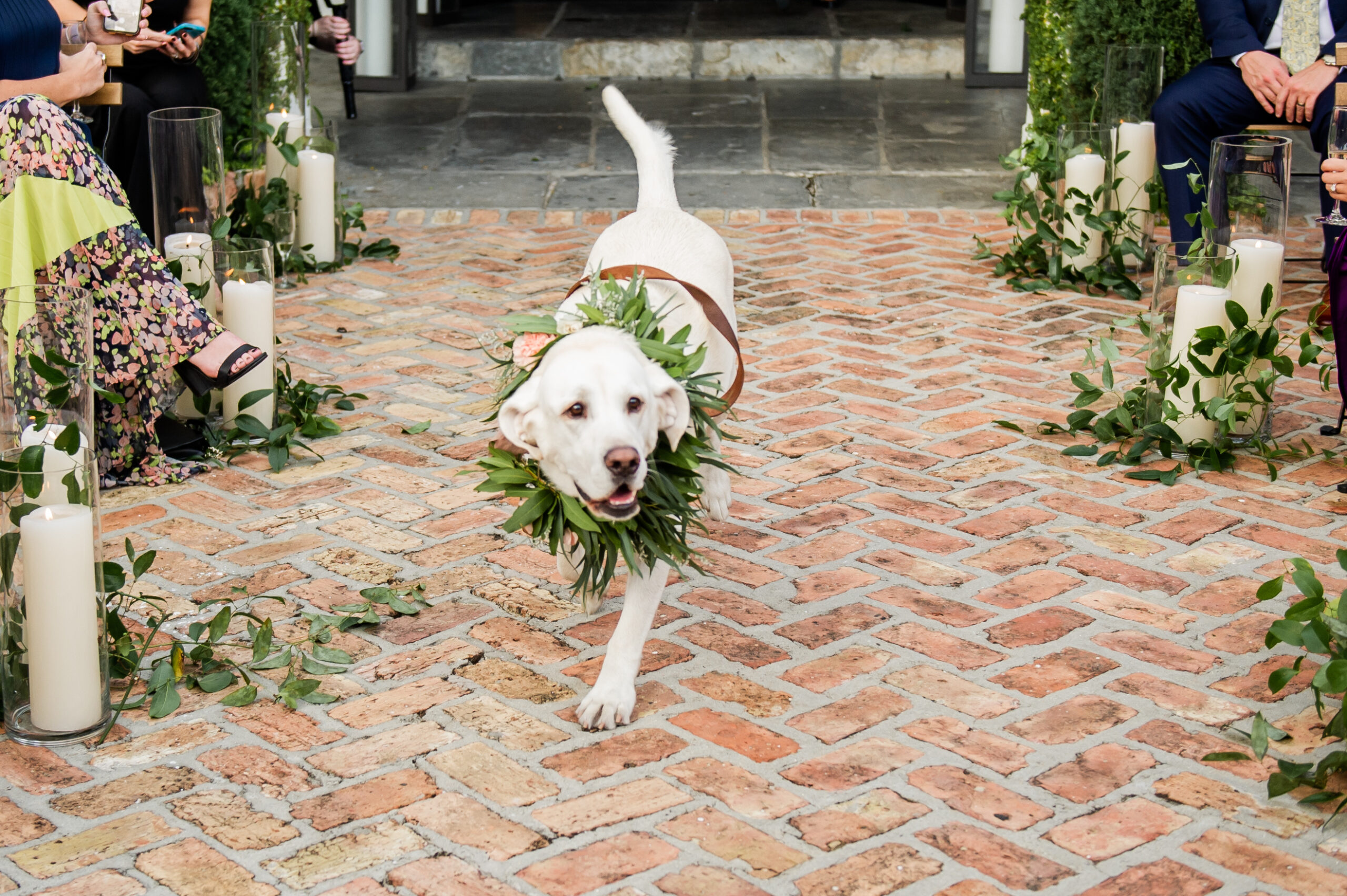 Honoring Your Pets on Your Big Day